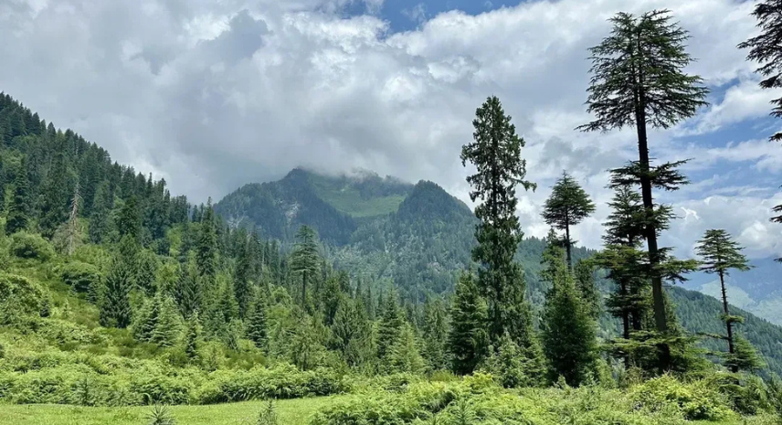 Discover the Magic of Shimla’s Scenic Beauty